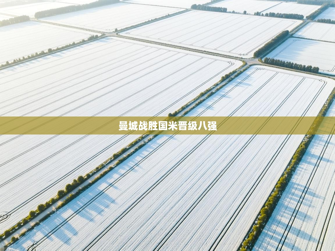 曼城战胜国米晋级八强  第2张