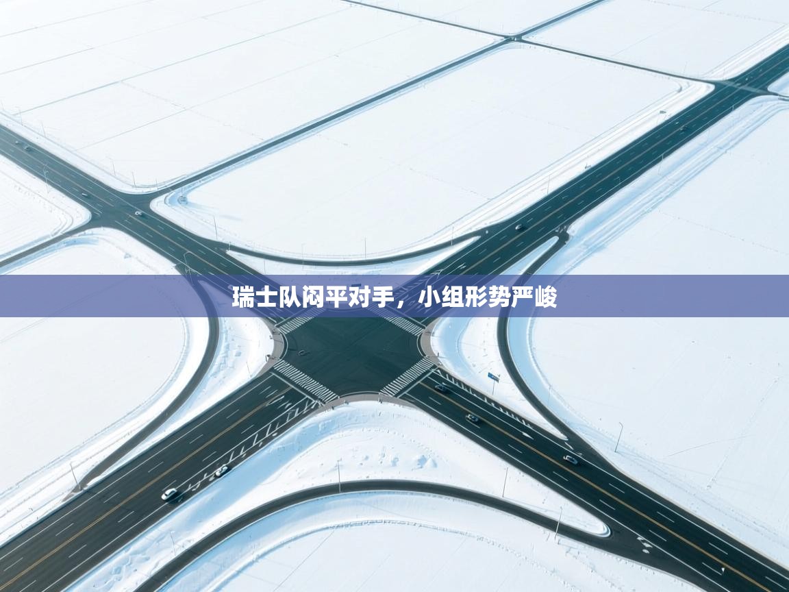 瑞士队闷平对手，小组形势严峻  第2张